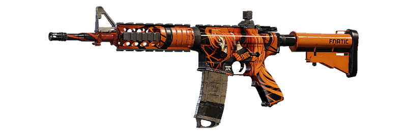 FNATIC 2024