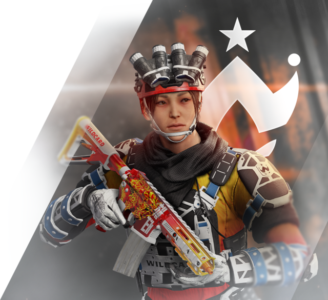 WILDCARD FULL KIT '24