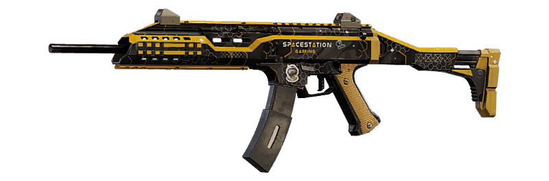 Ssg 2020