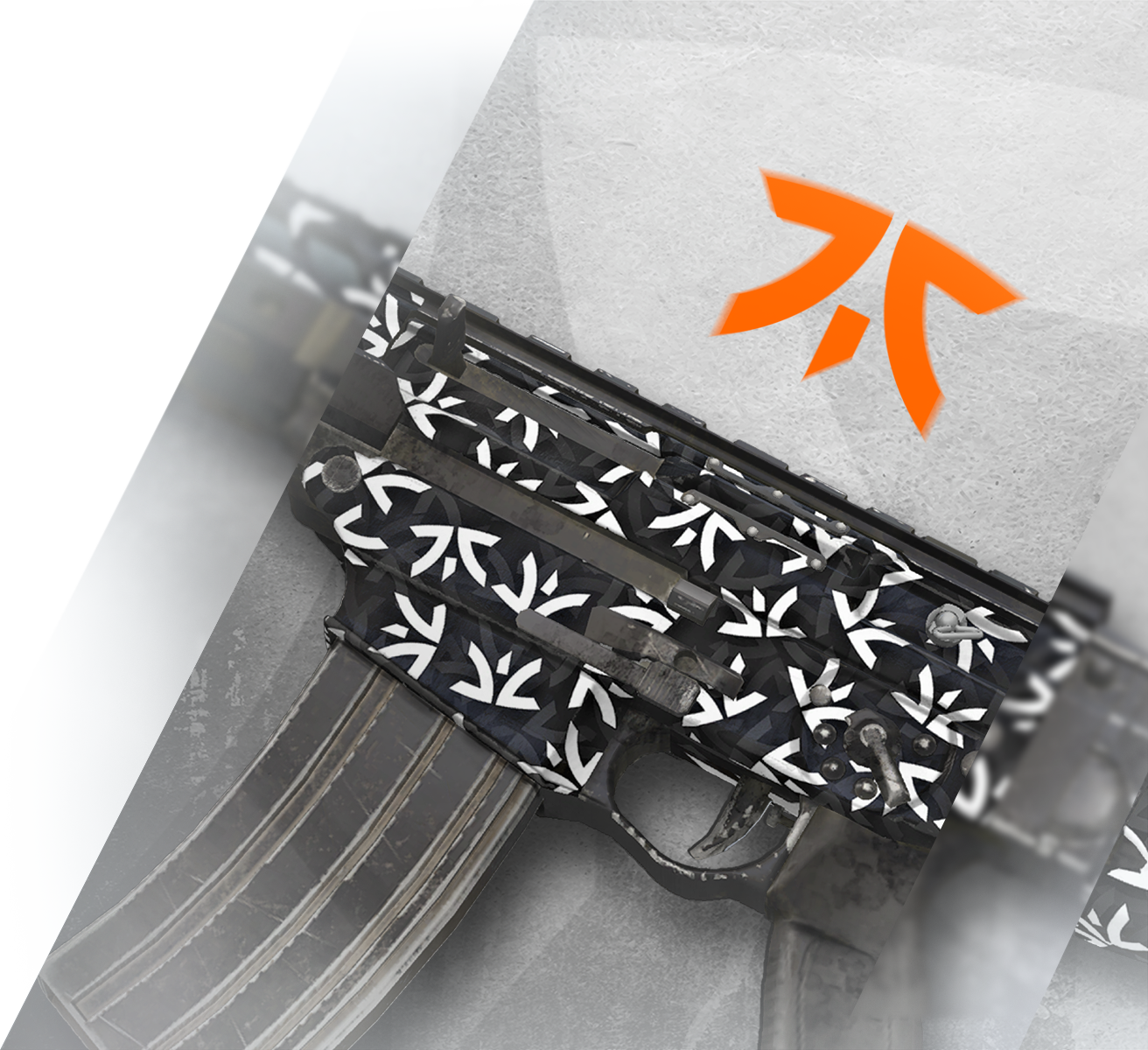 R6 Esports | Fnatic