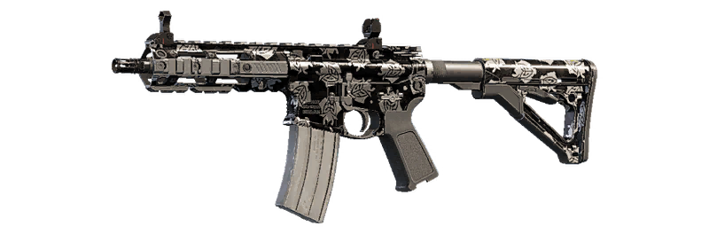 G2 SIGNATURE '23