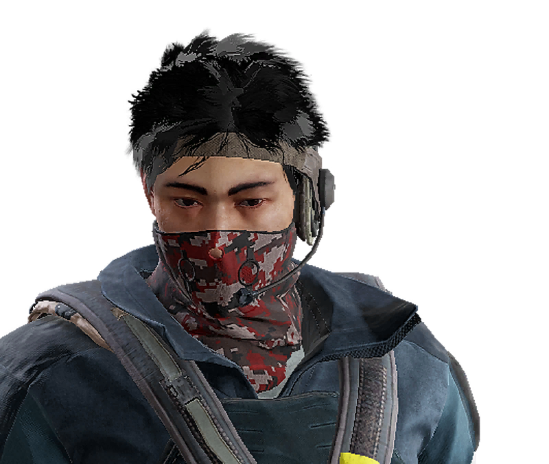 R6s skin echo